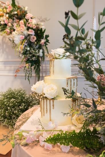 Elegant petite wedding guest dresses for a perfect fit on your special day